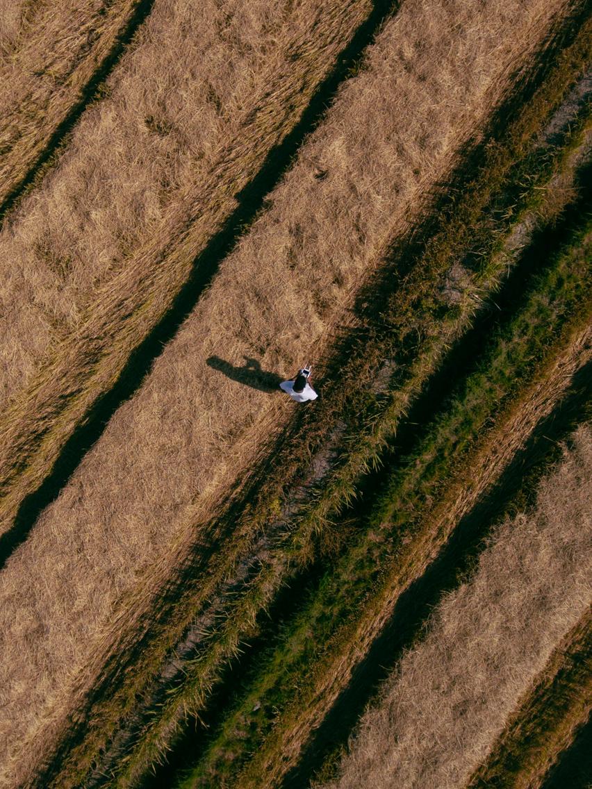 Sind nur DJI-Drohnen verboten?